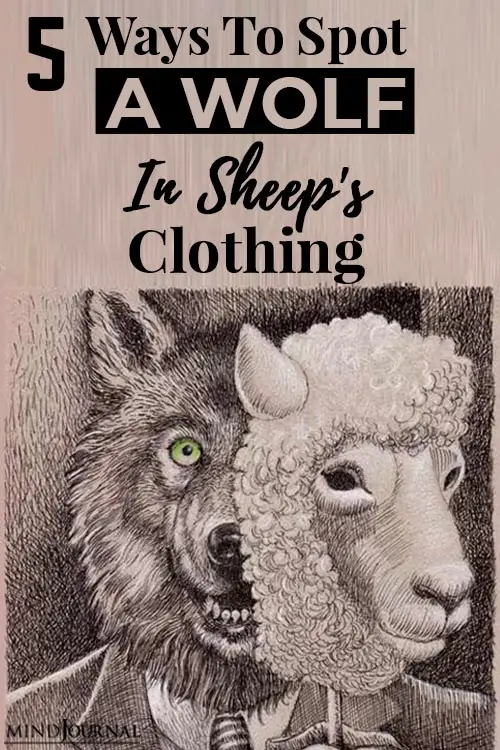 Spot Wolf Sheep Clothing pin