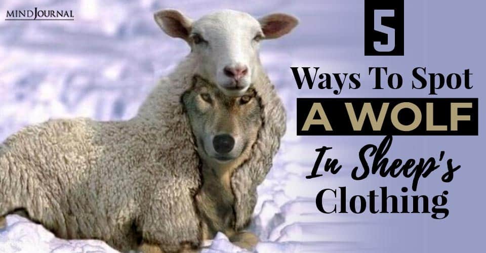 Ways Spot Wolf Sheep Clothing