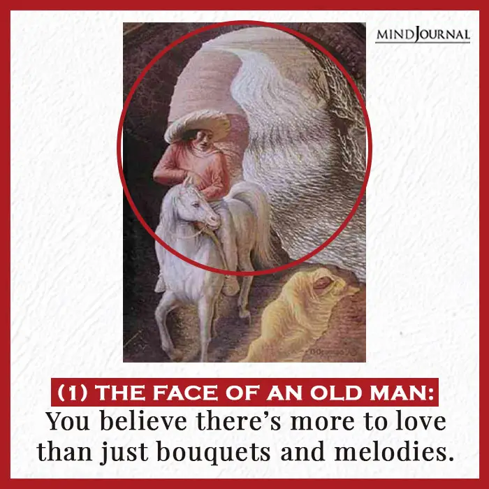 face of an old man or young horse rider 
