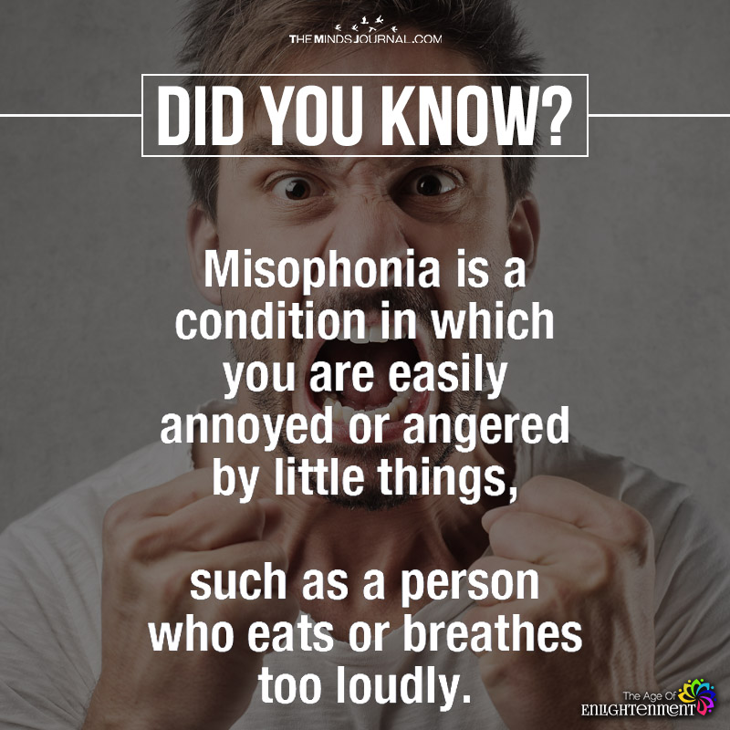 Misophobia