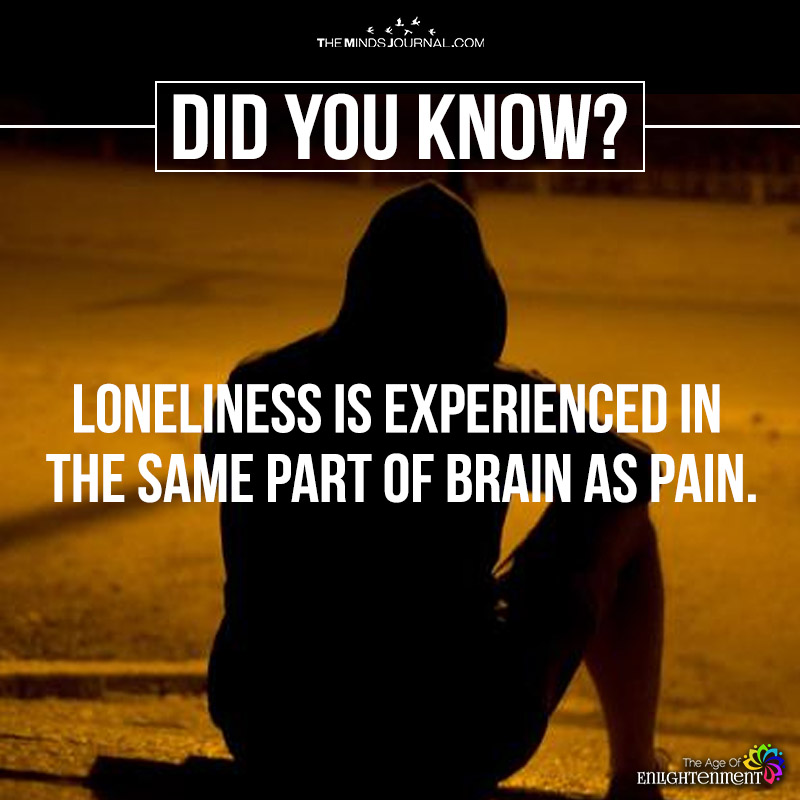 Loneliness is experienced in the same part of the brain as pain 