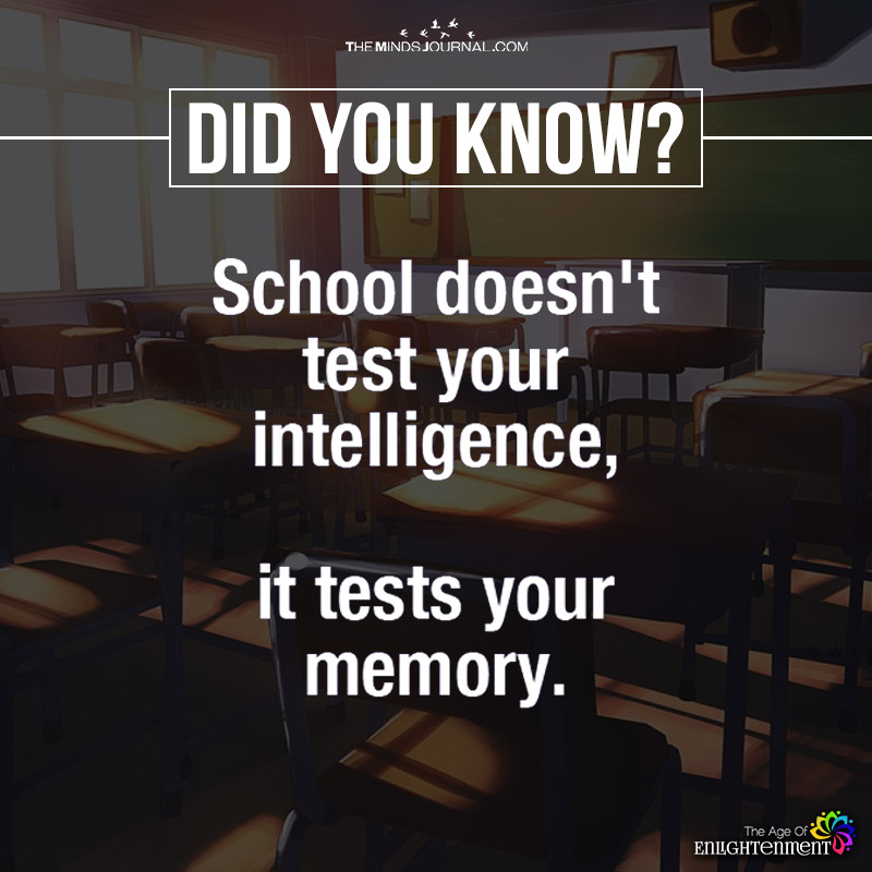 school doesn't test your intelligence