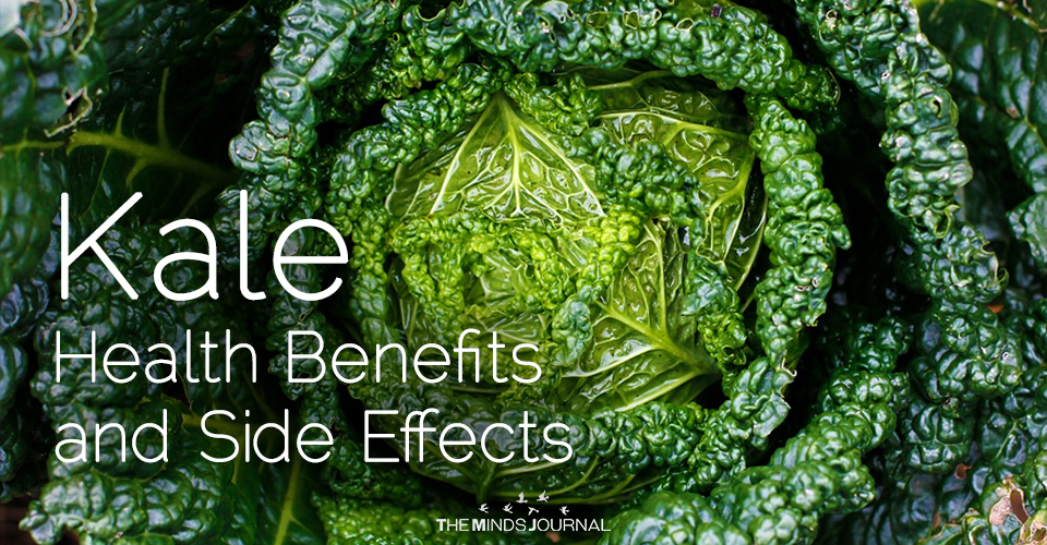 Kale Health Benefits and Side Effects
