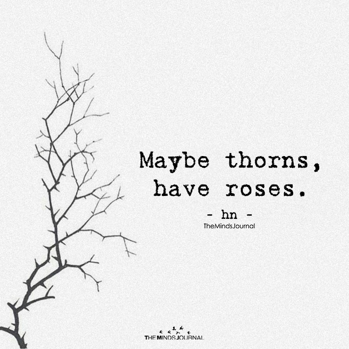 Maybe Thorns, Have Roses