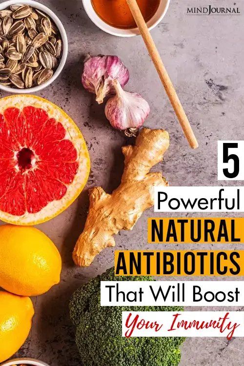 natural antibiotics which boost immunity pin