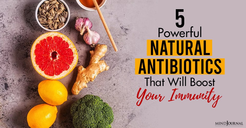 natural antibiotics which boost immunity