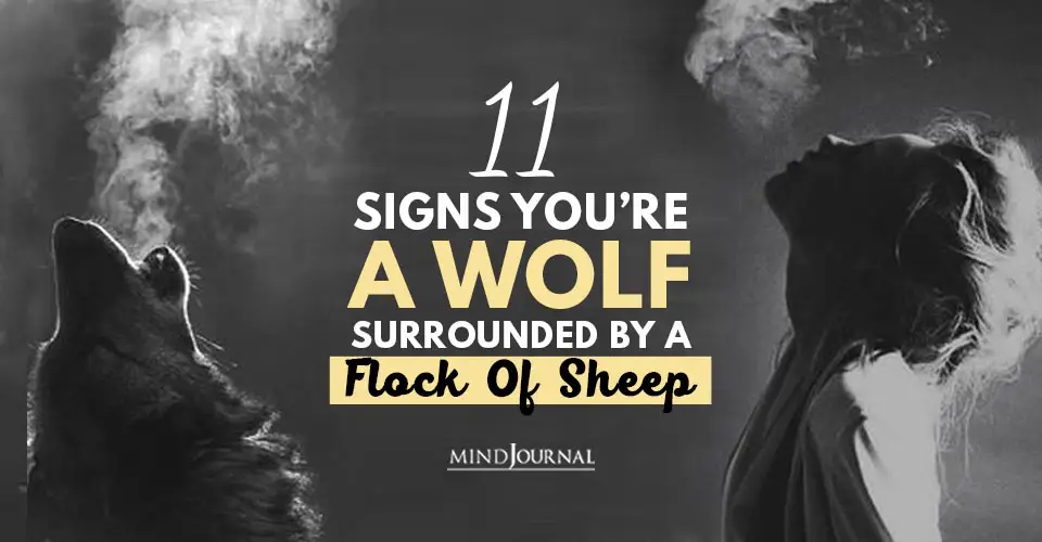 11 Signs You’re A Wolf Surrounded By A Flock Of Sheep