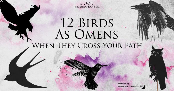 Birds As Omens When They Cross Your Path