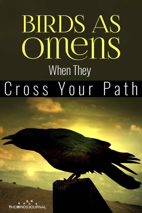Birds As Omens When They Cross Your Path pin