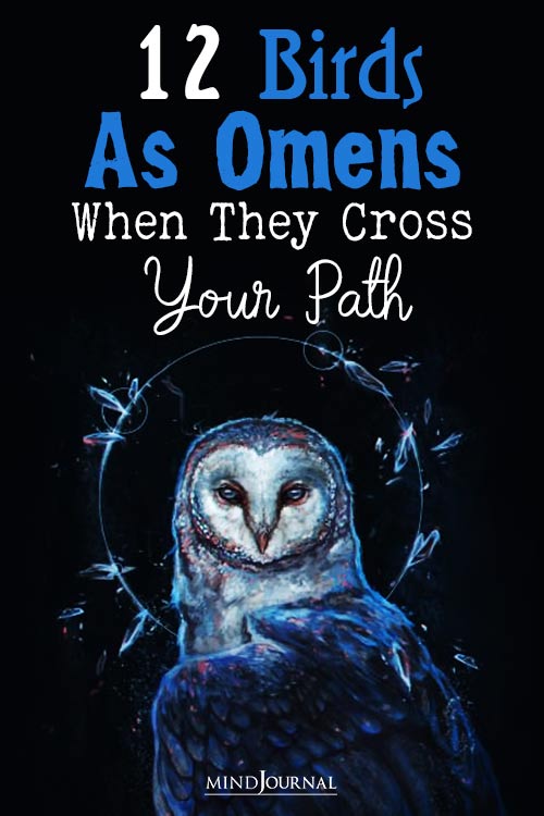 Birds As Omens When They Cross Your Path pinex
