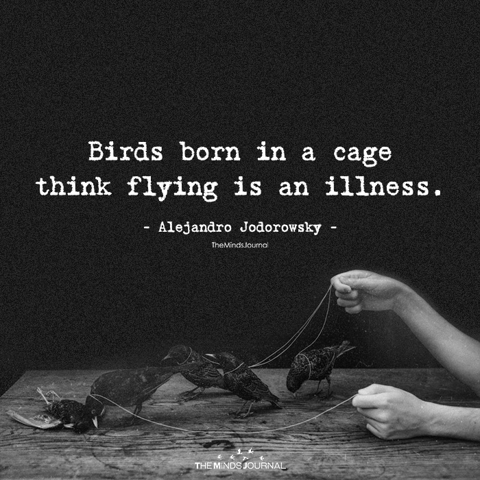 Birds Born In A Cage