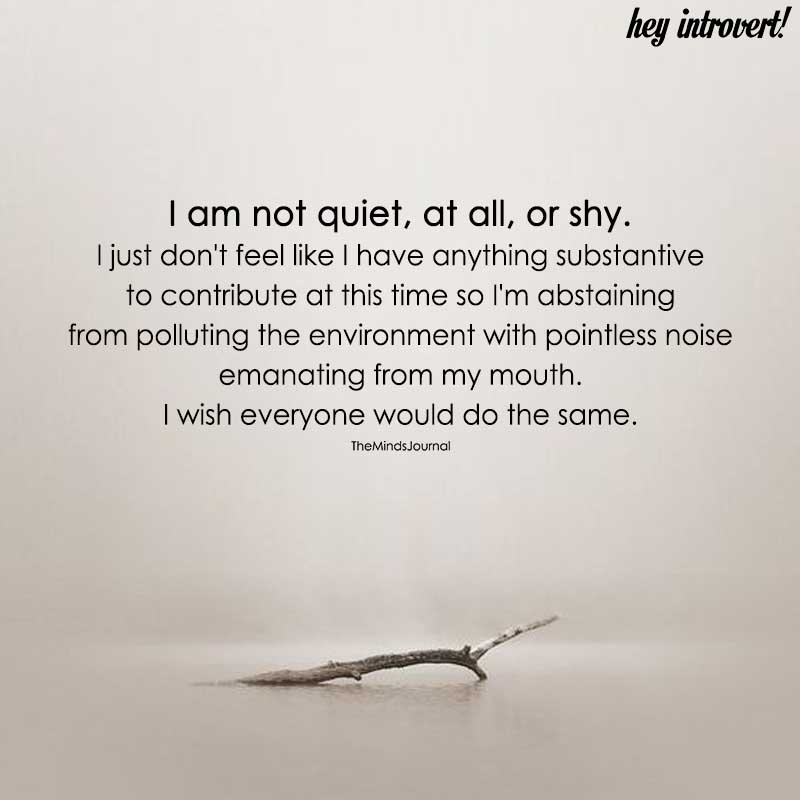 I Am Not Quiet , At All, Or Shy