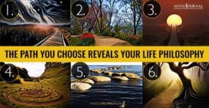 Path You Choose Reveals Life Philosophy