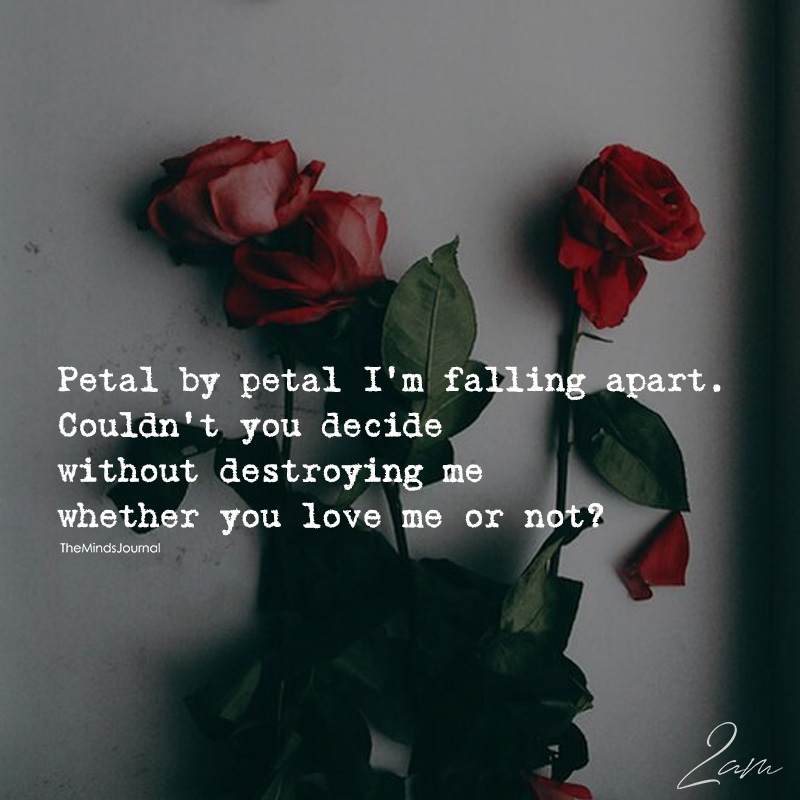 Petal By Petal I'm Falling Apart