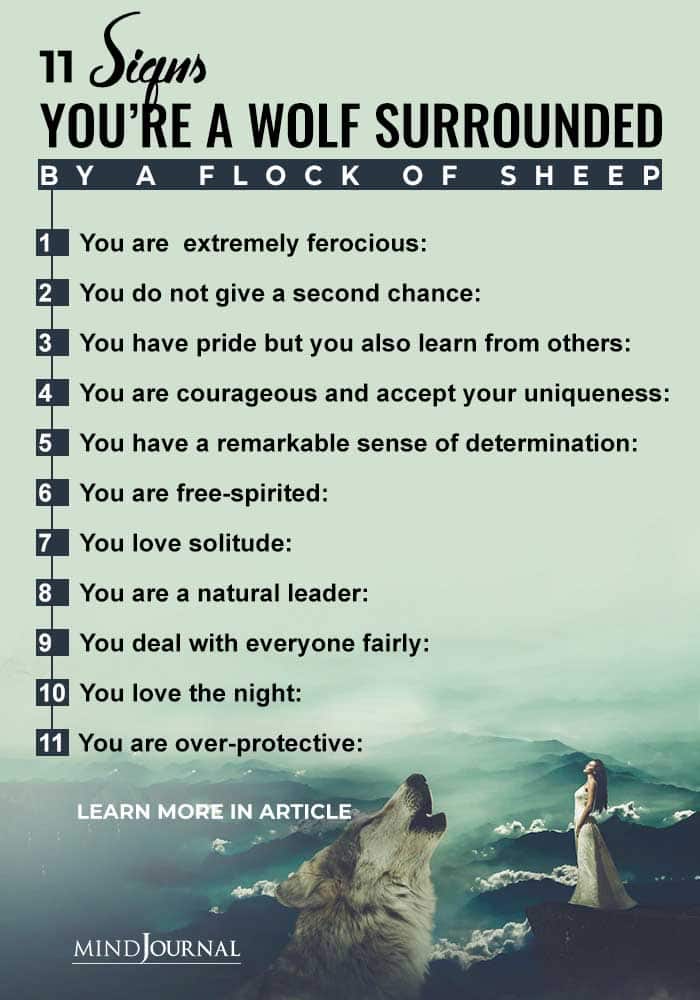 11 Signs You're A Wolf Surrounded By A Flock Of Sheep