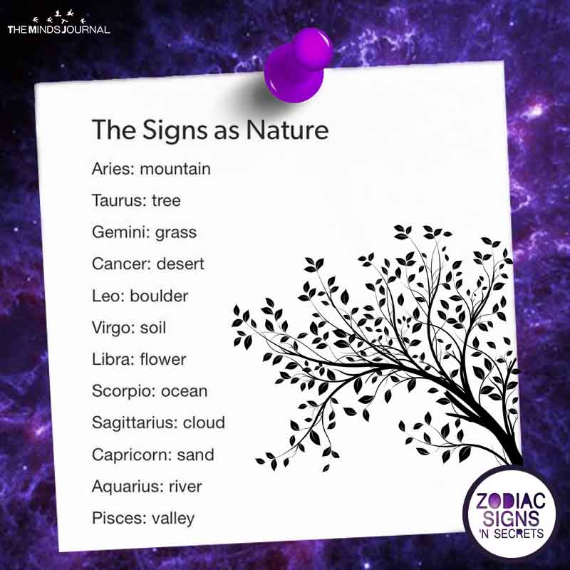 The Signs As Nature