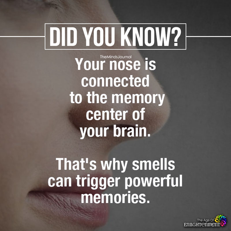 Your Nose Is Connected To The Memory Center Of Your Brain