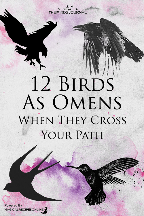 Birds As Omens When They Cross Your Path
