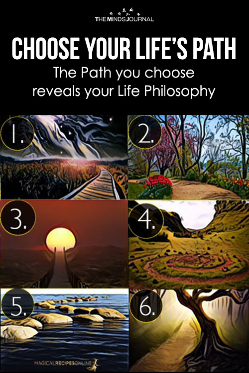 Which Path Will You Choose?