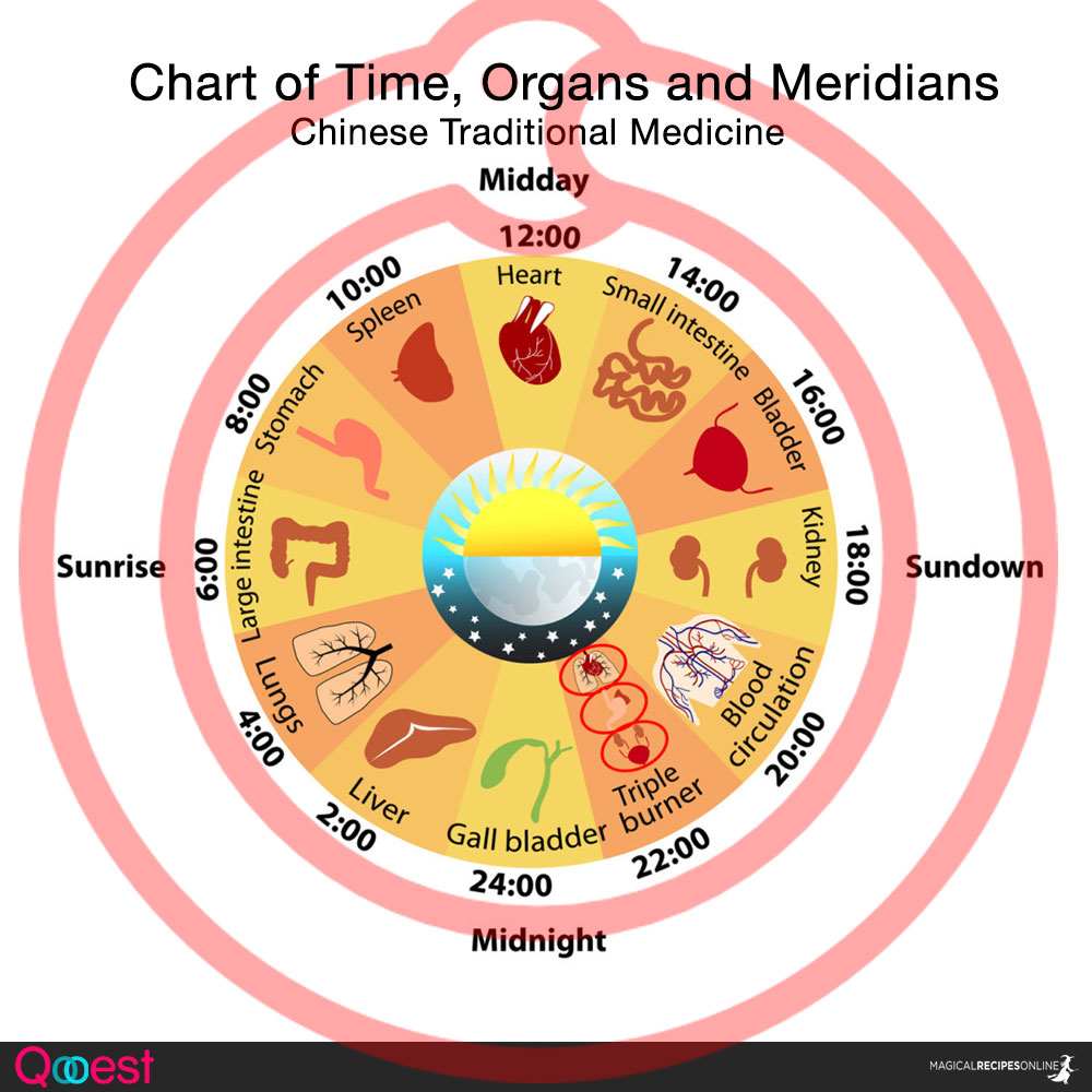 Chart of time, organs and meidians