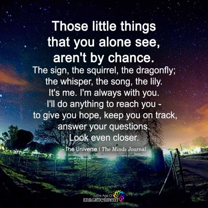 Those little things that you alone see, aren’t by chance the universe being alone quotes