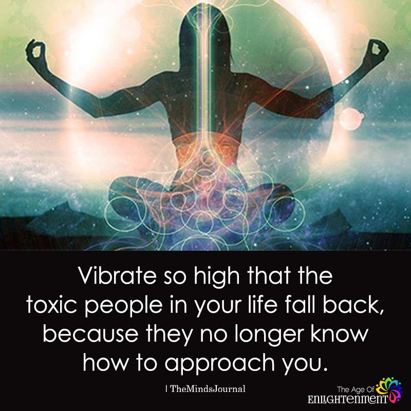 Vibrate So High That Toxic People Your Life Fall Back