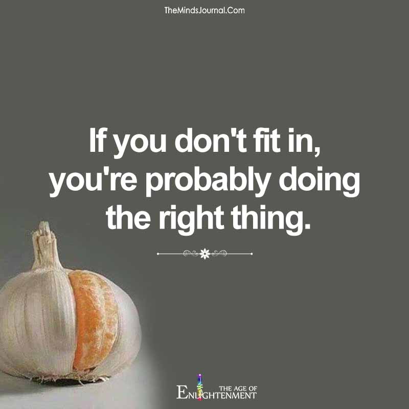 If You Don't Fit In