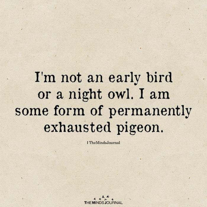I'm Not An Early Bird Or A Night Owl