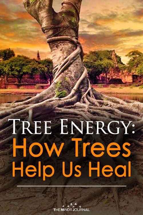 Tree Energy