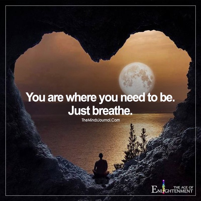 You Are Where You Need To Be