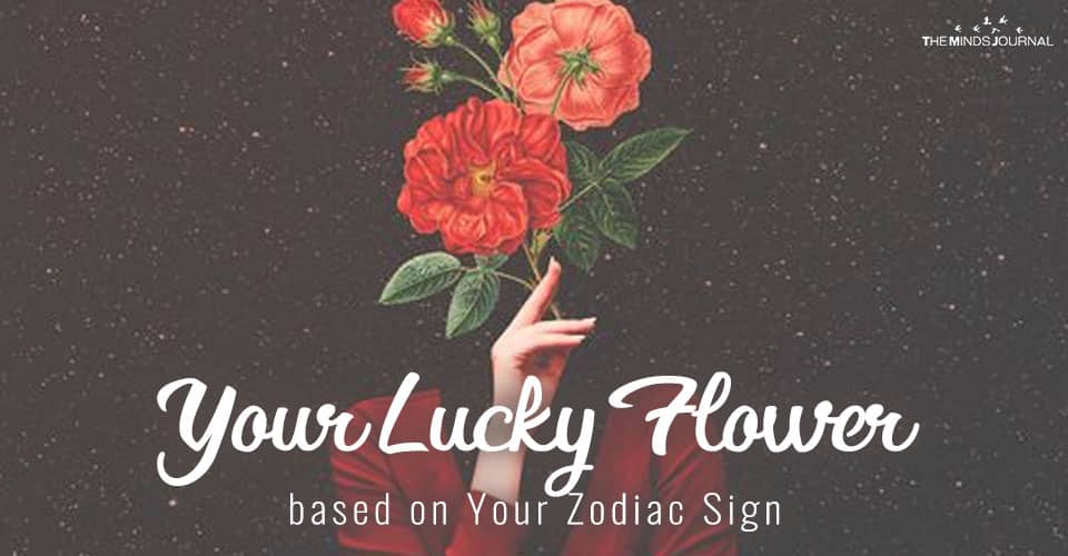 Your Lucky Flower based on Your Zodiac Sign