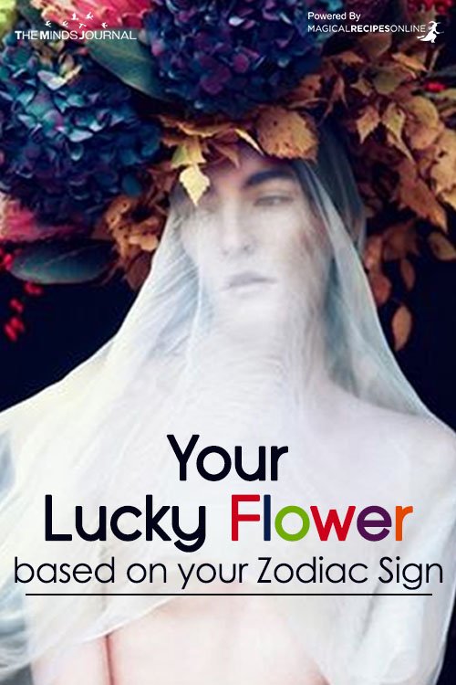 Your Lucky Flower based on Your Zodiac Sign