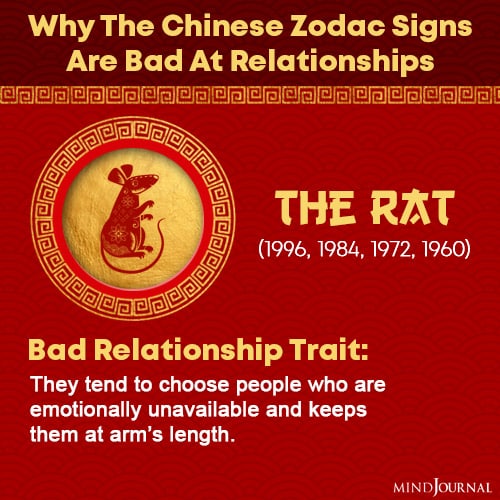 chinese zodiac signs bad at relationships the rat