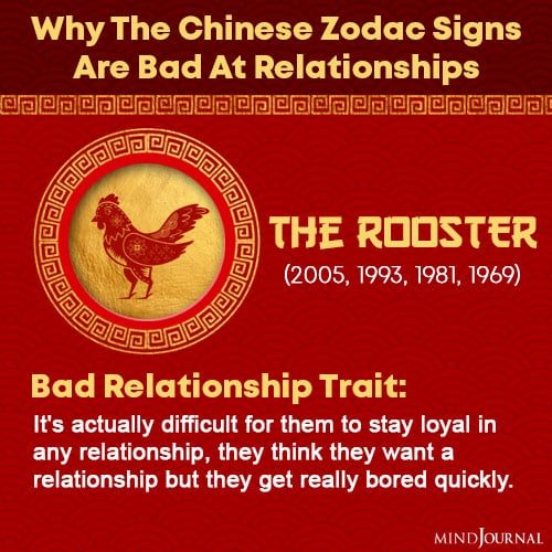 chinese zodiac signs bad at relationships the rooster