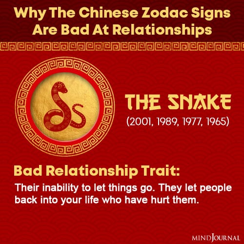 chinese zodiac signs bad at relationships the snake