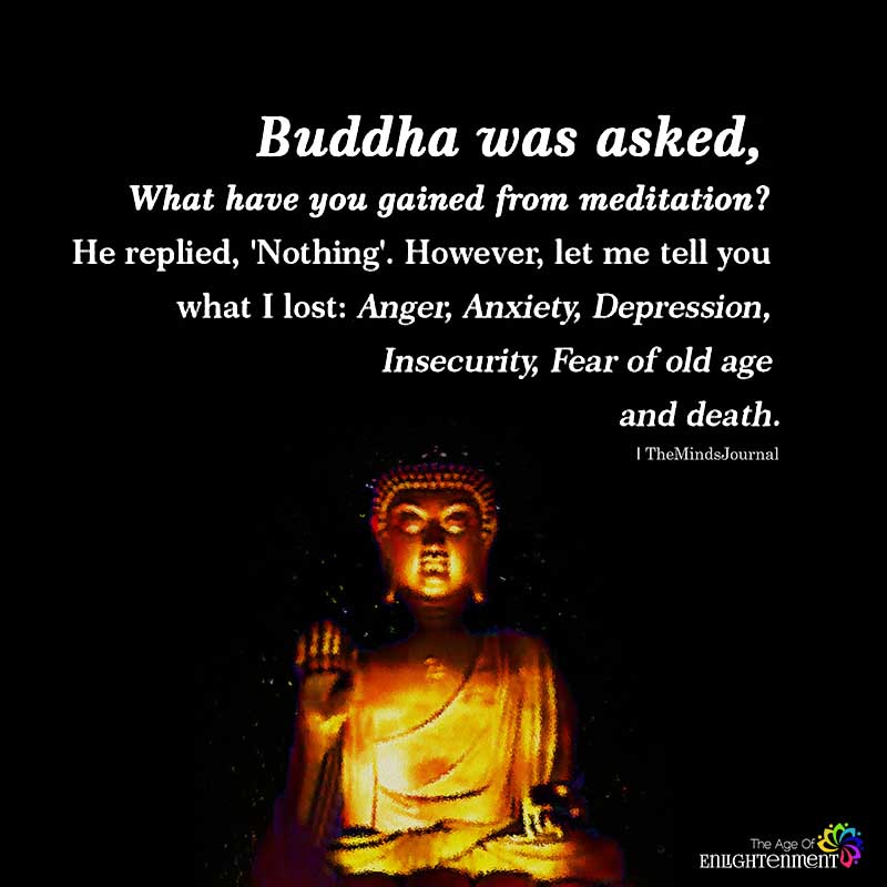 Buddha Was Asked, What Have You Gained From Meditation