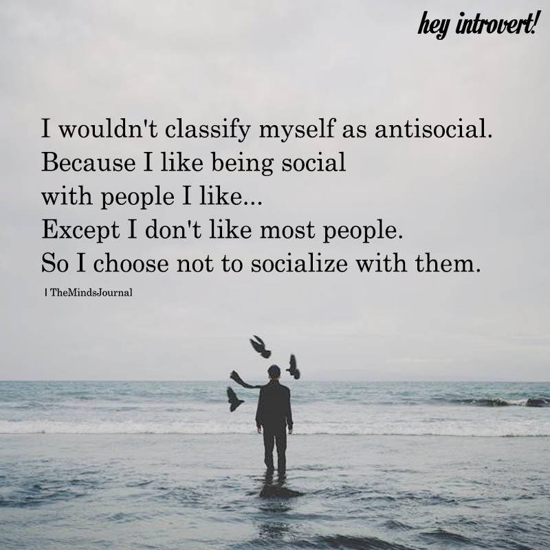 I Wouldn't Classify Myself As Antisocial