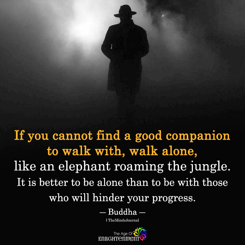 If You Cannot Find A Good Companion To Walk With