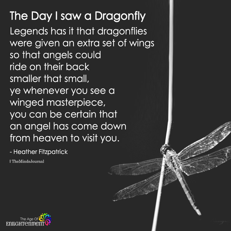 The Day I Saw A Dragonfly