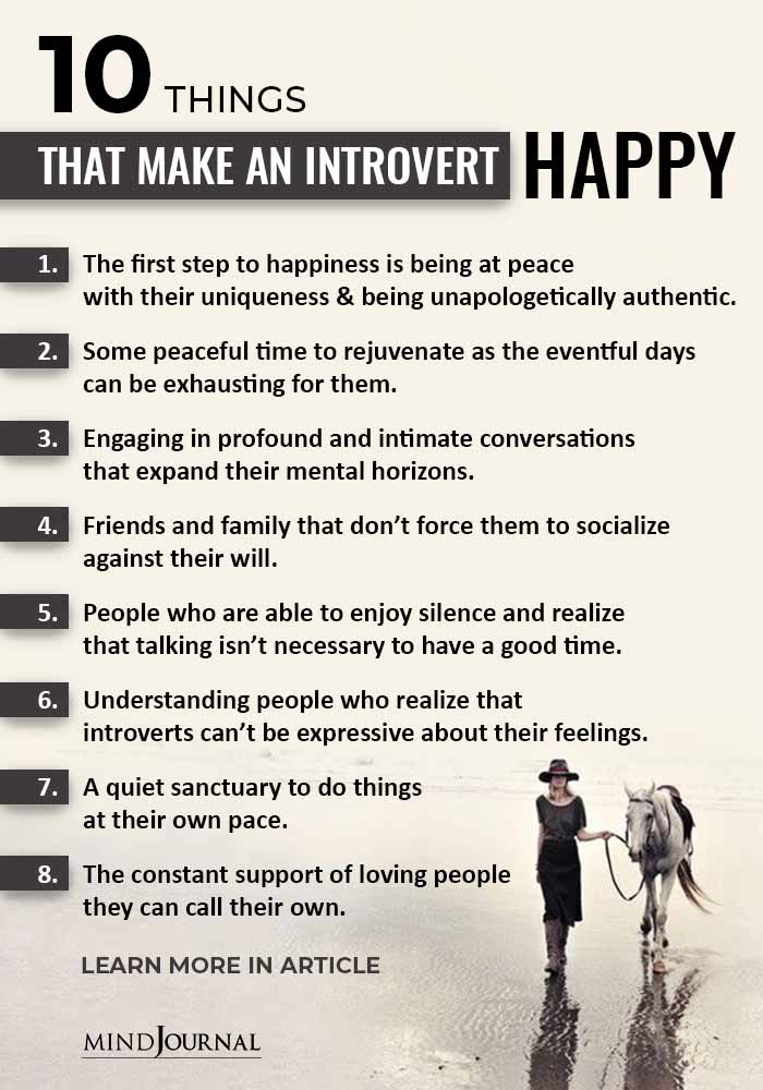 Things Make Introvert Happy