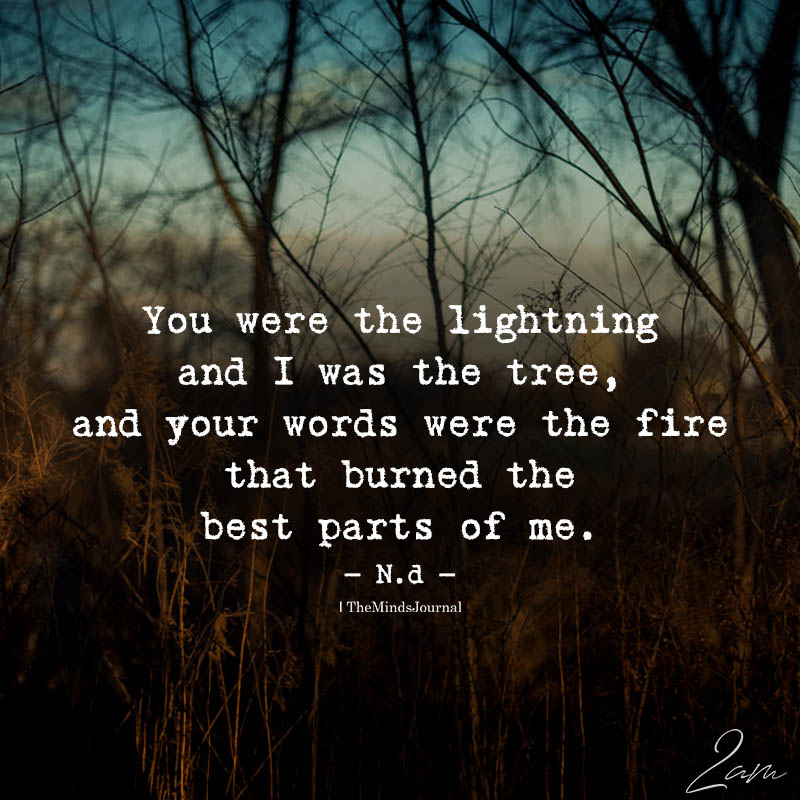 You Were The Lightning And I Was The Tree
