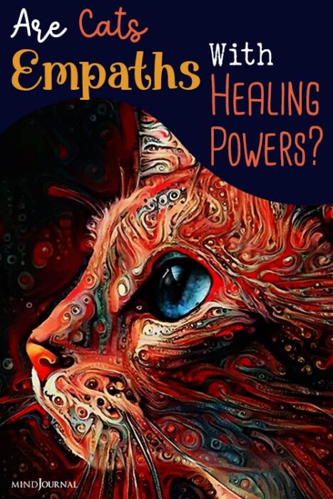 Are Cats Empaths Healing Power Of Cats pin