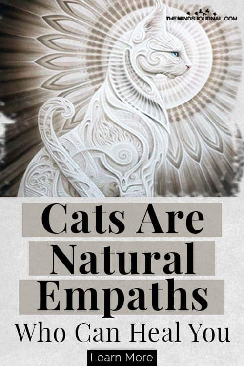 Cats Natural Empaths Who Heal Your Mind Pin