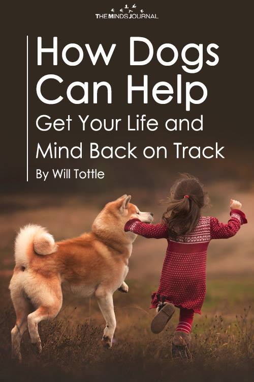 How Dogs Can Help Get Your Life and Mind Back on Track