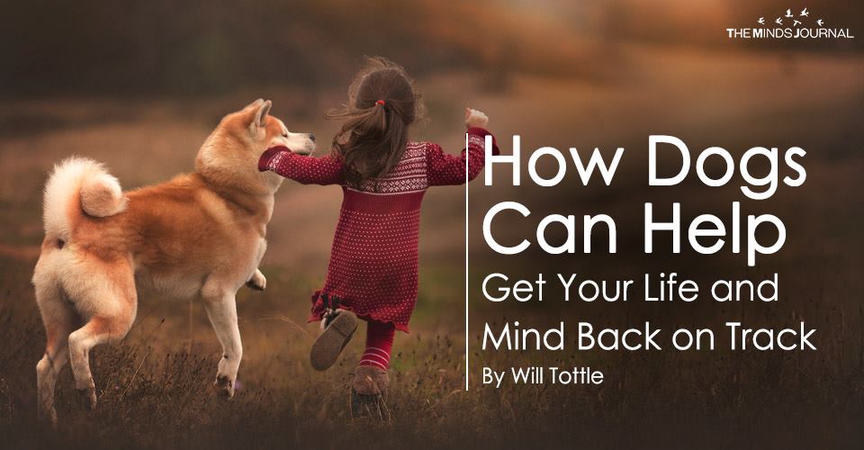 How Dogs Can Help Get Your Life and Mind Back on Track2
