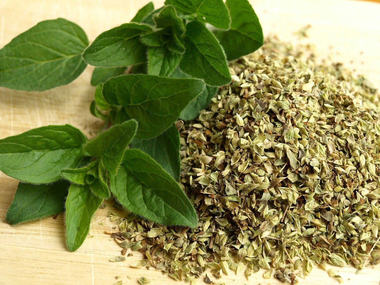Discover the Healing Power of Herbs and Spices: Oregano, Cumin, and Bay Leaves