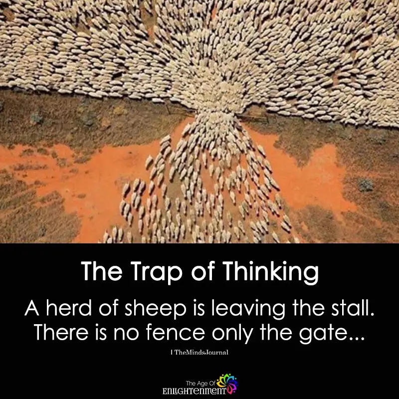 the Trap Of Thinking