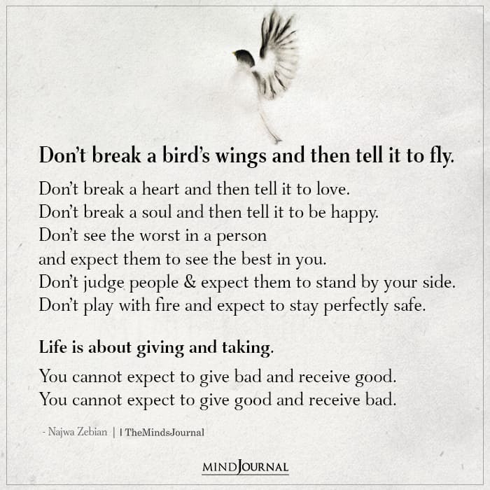 Dont Break A Birds Wings And Then Tell It To Fly