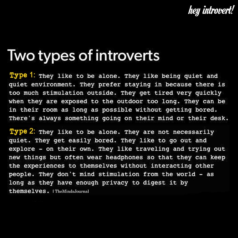 Two Types Of Introverts