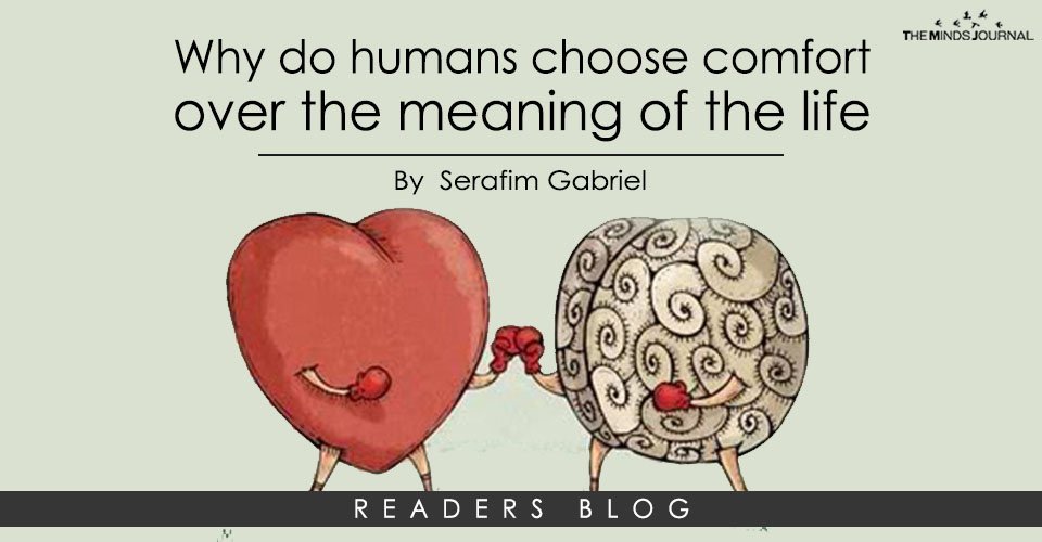 Why do humans choose comfort over the meaning of the life